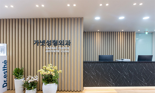 가넷성형외과의원's Image