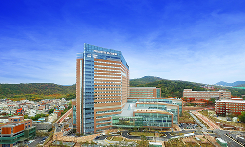 계명대학교동산병원's Image