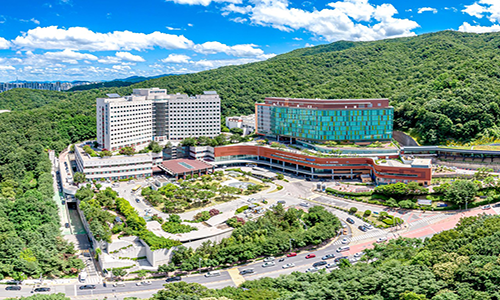 분당서울대학교병원's Image