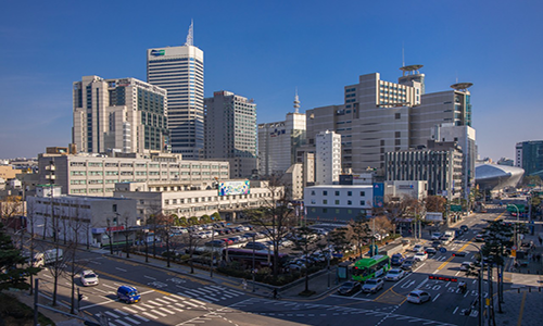 국립중앙의료원's Image