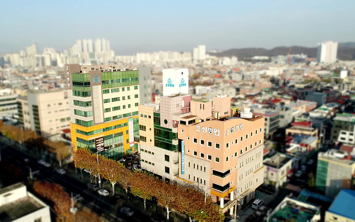 의료법인경동의료재단효성병원's Image