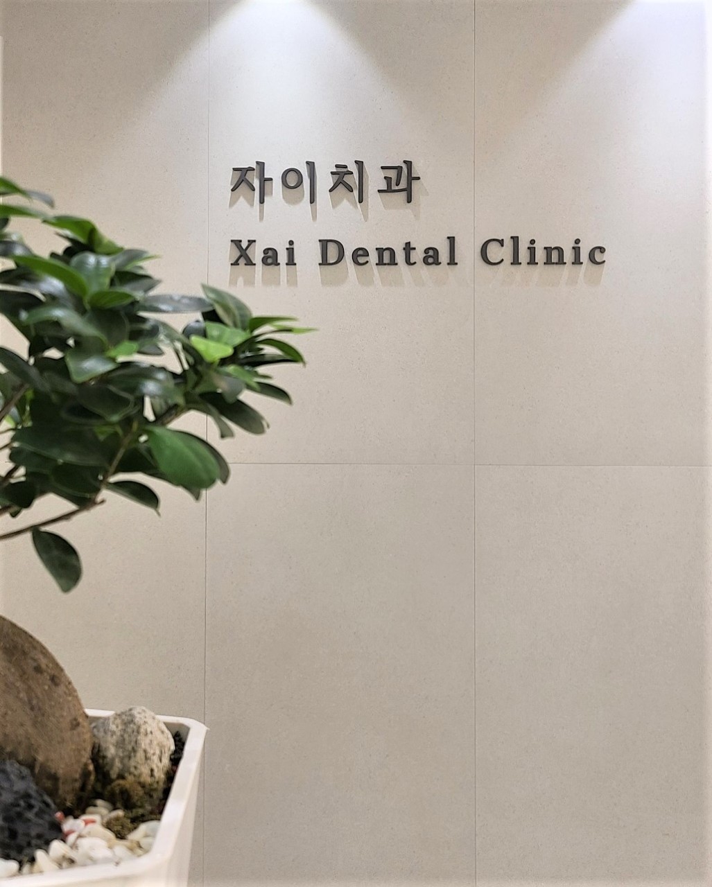 자이치과의원's Image